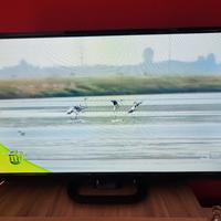 Televisore Sinudyne 32 pollici