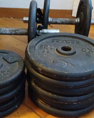 Dischi palestra Doymos (62 kg)  + 2 manubri