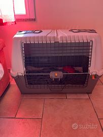 Trasportino omologato per auto