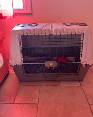 Trasportino omologato per auto