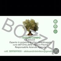 Lavoro setore agricolo responsabile Azienda