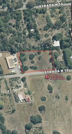 Perde Sali - Terreno Agricolo lineare di 2000 mq