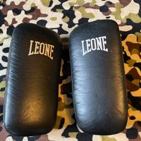Pao leone boxe