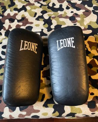 Pao leone boxe