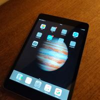 I PAD mini con scheda