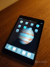 I PAD mini con scheda