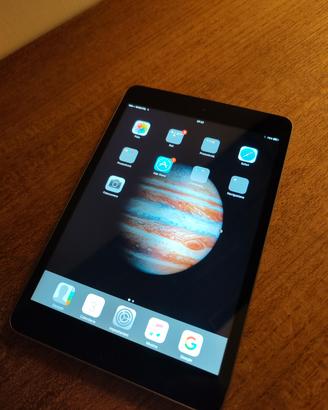 I PAD mini con scheda