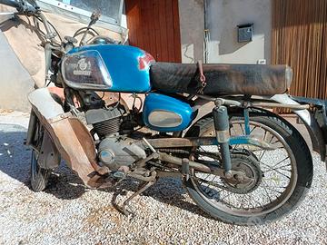 Benelli leoncino
