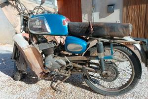 Benelli leoncino