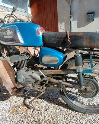 Benelli leoncino