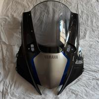 Cupolino r1m carbonio