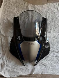 Cupolino r1m carbonio