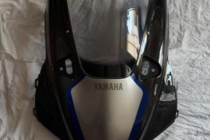 Cupolino r1m carbonio