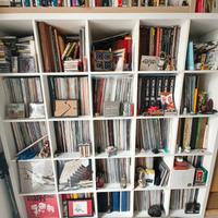 lotto vinili/collezione intera