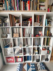 lotto vinili/collezione intera