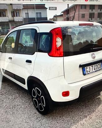 Fiat Panda 1.0 FireFly S&S Hybrid City Life