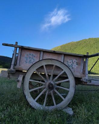 Carro Agricolo d'Epoca Dipinto a Mano anni 50/60
