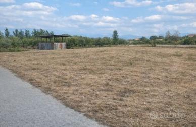 Terreno situato a Somma Vesuviana (NA)