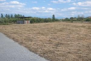 Terreno situato a Somma Vesuviana (NA)