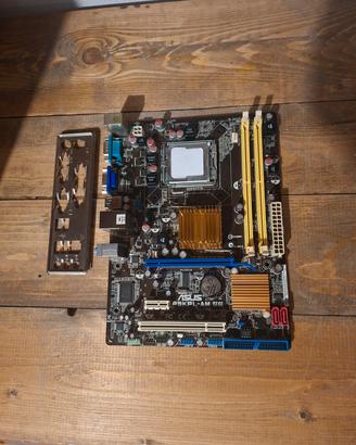 Scheda madre Asus P5KPL-AM SE - Non testato
