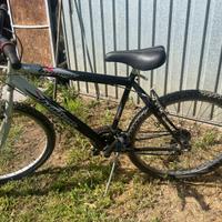 Mountain bike