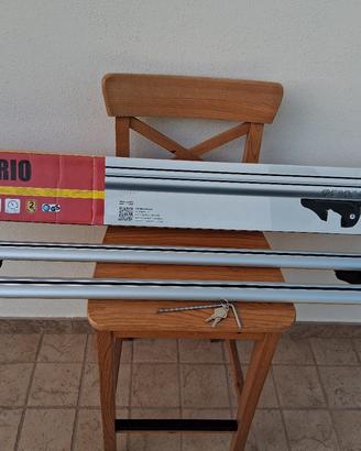 Portapacchi auto da 120 cm.