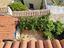 Immagine 17