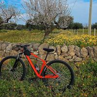 mtb Rockrider ex500 29