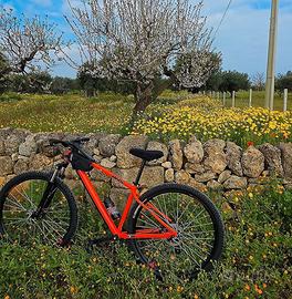 mtb Rockrider ex500 29