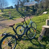 Biciclette pieghevoli