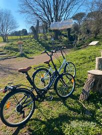 Biciclette pieghevoli