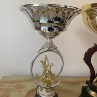 Coppe da competizione