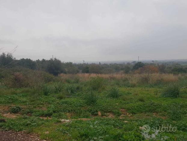 Agricolo a Siracusa - Cassibile