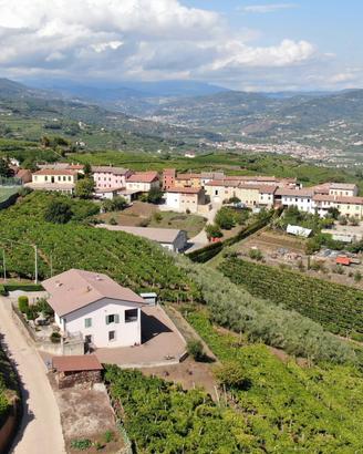 Casa singola a Soave (VR) - Fittà