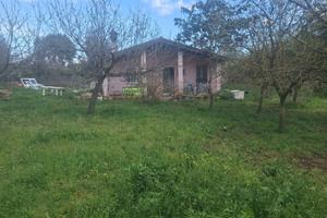 Villino in parco 1,4 Ha - 40 min da Roma e Viterbo