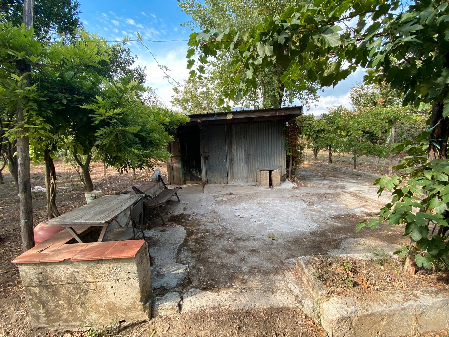 Terreno uso agricolo Spasso - Vista 3
