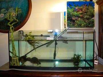 Acquario e accessori per tartaruga