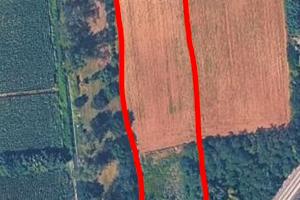 Terreno agricolo