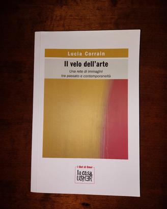 Libro "Il velo dell'arte"