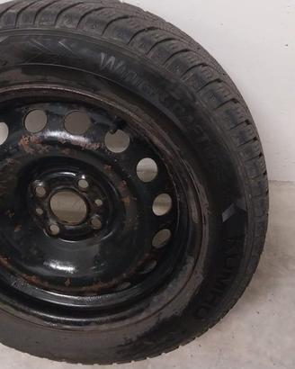 Gomme panda (no spedizione)