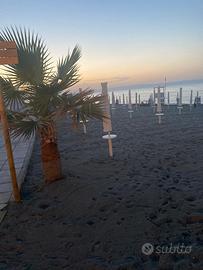 Villa nuova costruzione