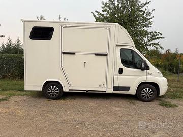 Van cavalli 2 posti patente B