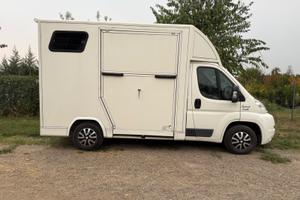 Van cavalli 2 posti patente B