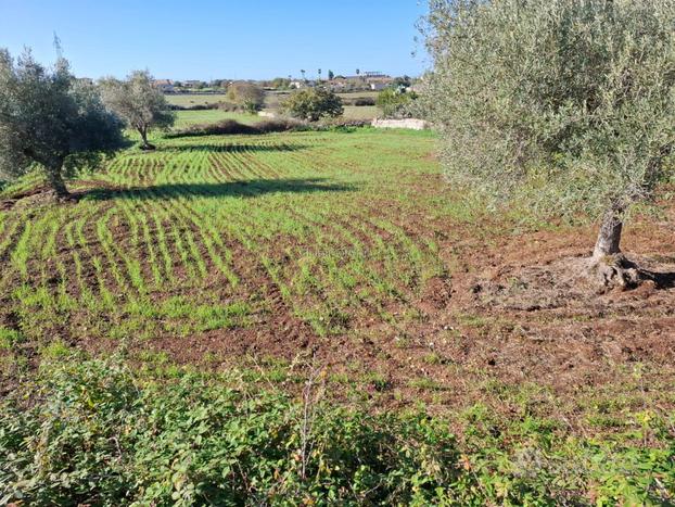 Terreno a Modica (RG) - Modica Sorda