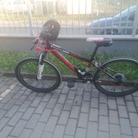 MTB junior TORPADO VIPER T610 - BLACK/RED 24"