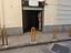 Immagine 4