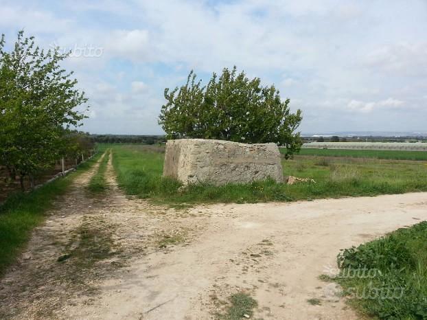 Terreno agricolo - Vista 5