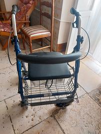 Deambulatore Termigea RO2