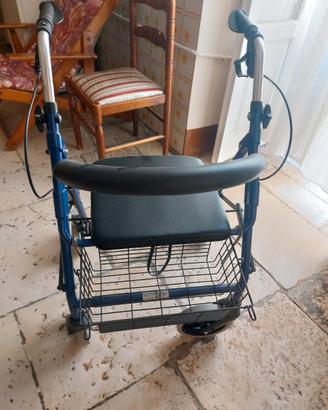 Deambulatore Termigea RO2