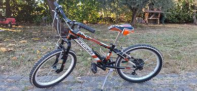 bicicletta bambino